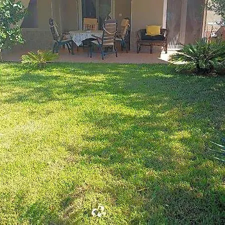 Palm Garden Hotel 3*
