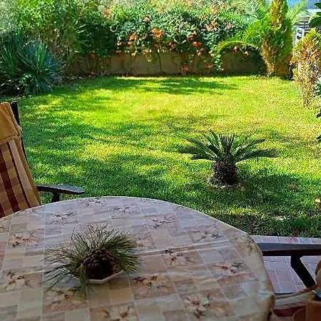 Palm Garden