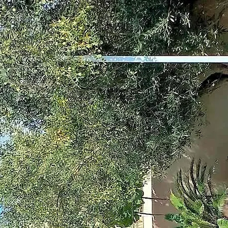 Palm Garden Hotel