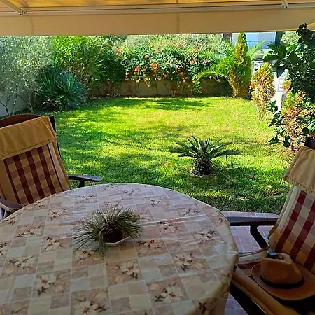 Palm Garden